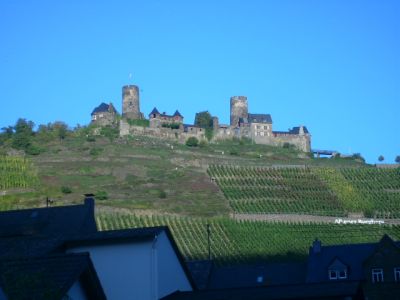 Moseltour 2011 028.jpg