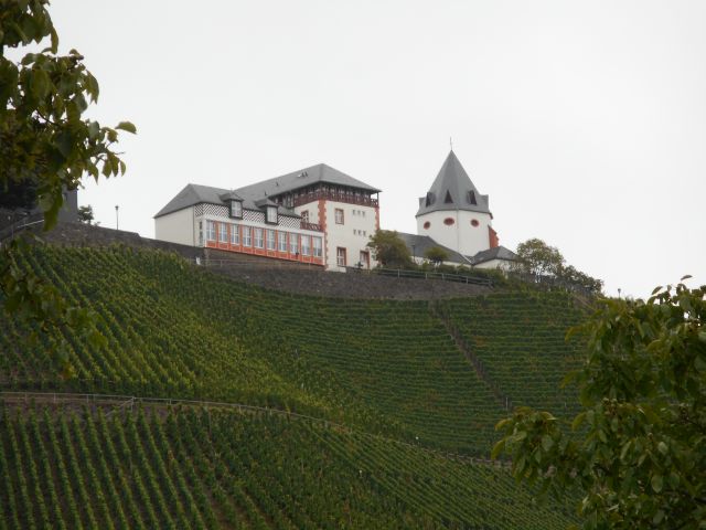 files/motorradfreunde_solling_vogler_de/Mosel 2016/Blick auf die Marienburg.jpg