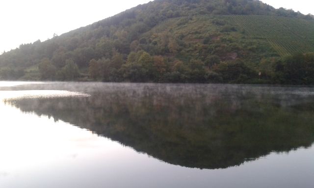 files/motorradfreunde_solling_vogler_de/Mosel 2016/Mosel in der Frueh.jpg