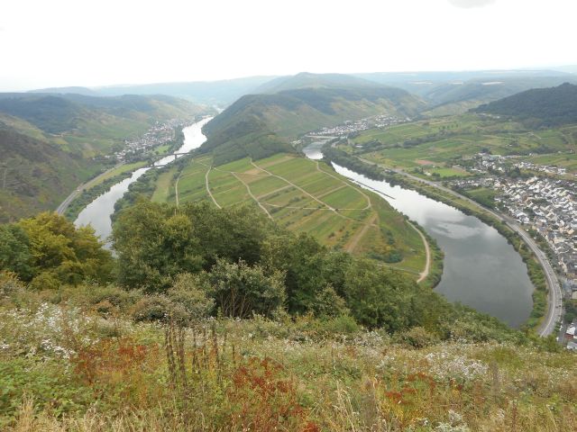 files/motorradfreunde_solling_vogler_de/Mosel 2016/Moselbogen.jpg